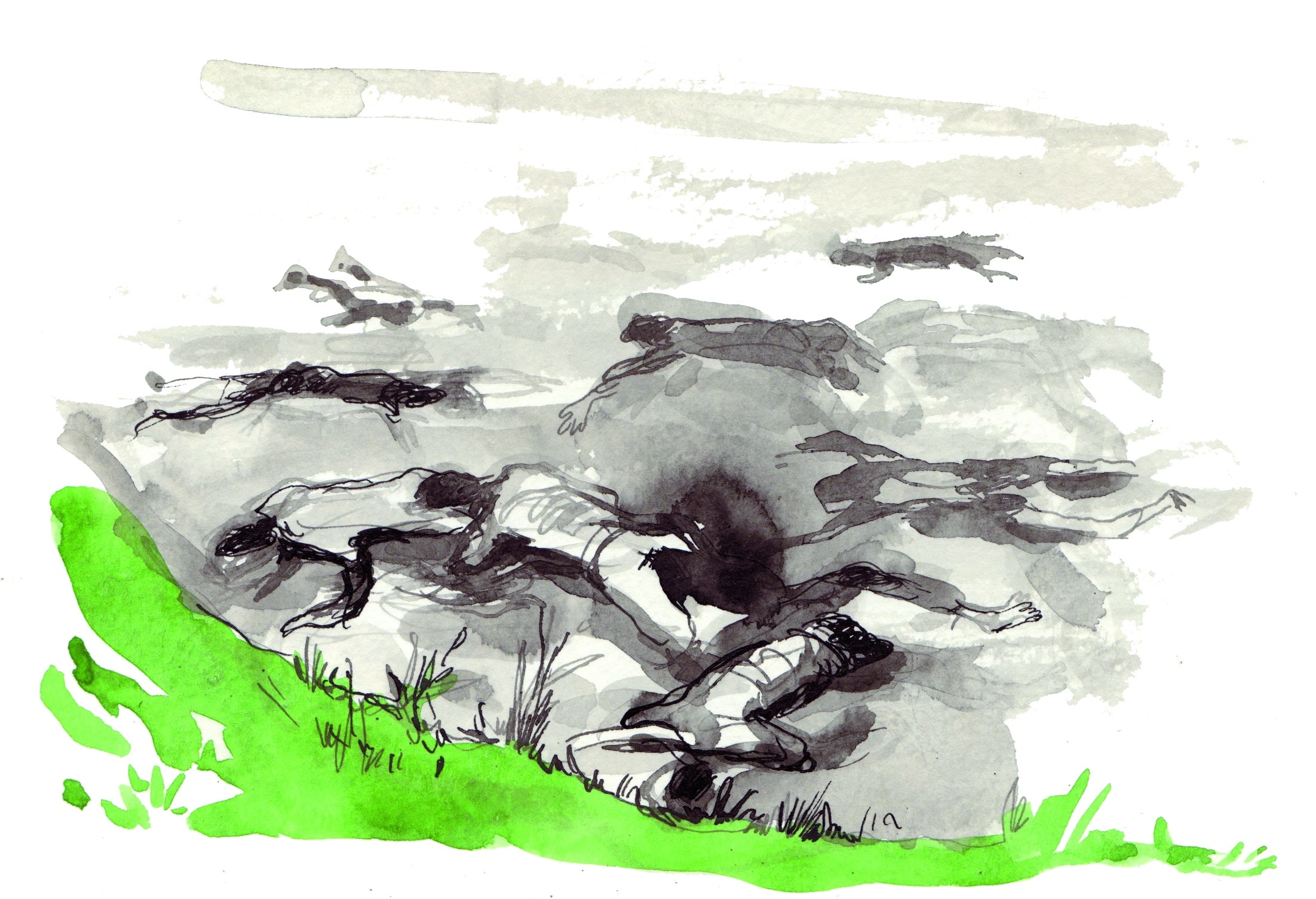 cadavres_ds_fleuve_v.jpg